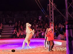 Circus YAKARI am 28.09.2024